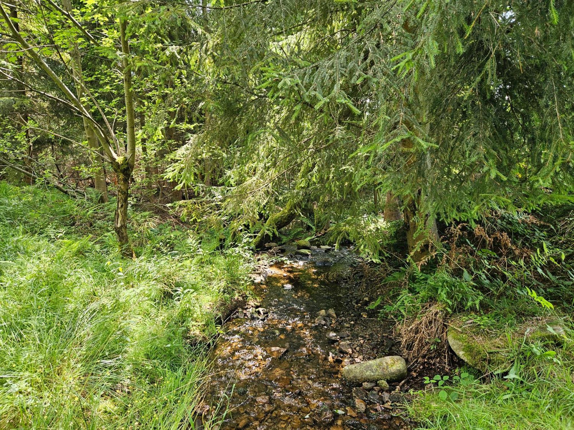 Chata Goralska Wojtasowka Kamesznica 外观 照片