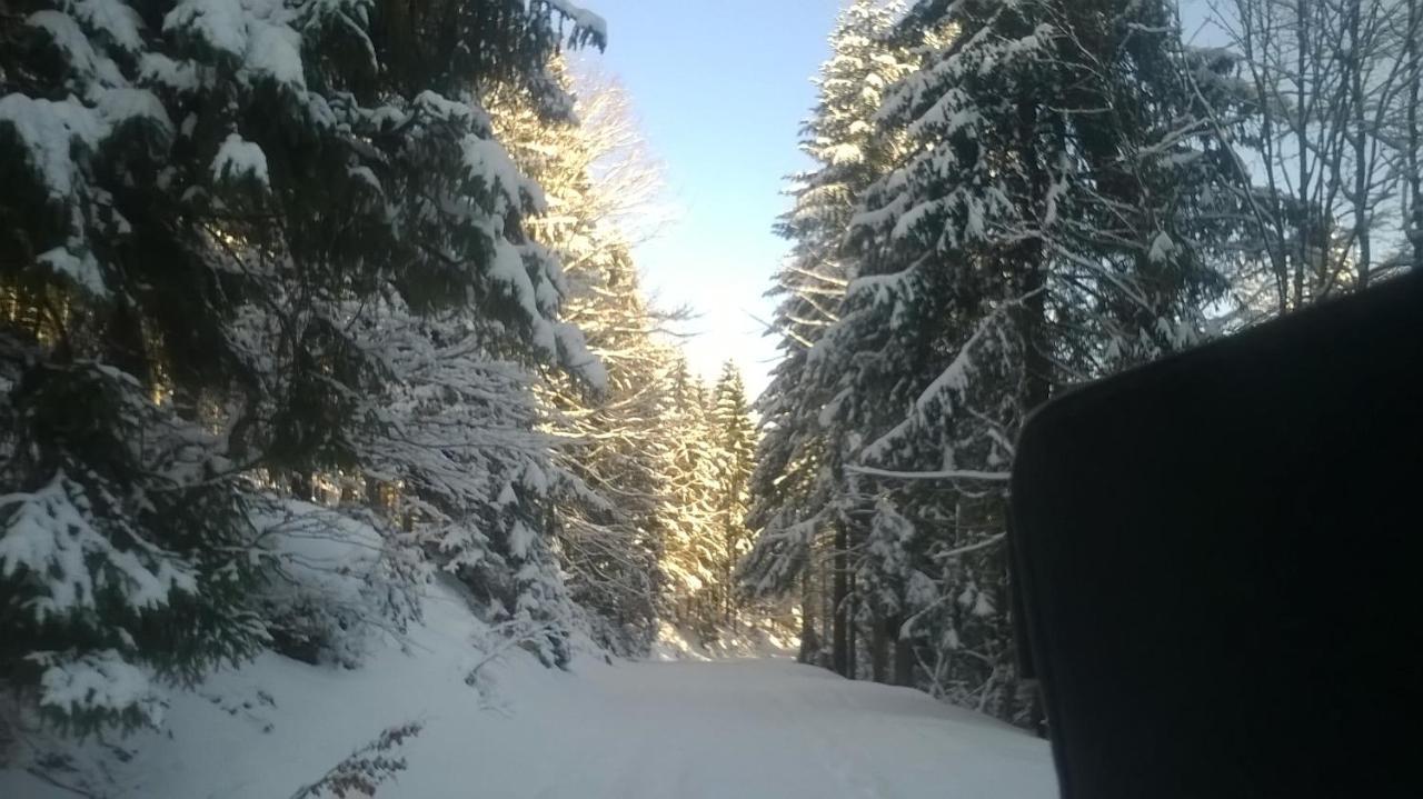 Chata Goralska Wojtasowka Kamesznica 外观 照片